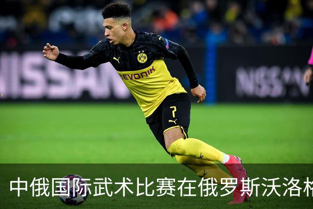 中俄国际武术比赛在俄罗斯沃洛格达开赛